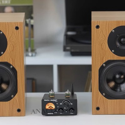 Setup subwoofer trong stereo: Kết hợp với loa bookshelf Suca Audio SP502 để nâng tầm trải nghiệm