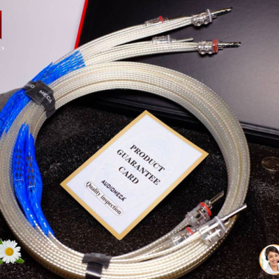Tại Sao Dây Tín Hiệu Audiomeca Được Audiophile Ưa Chuộng?